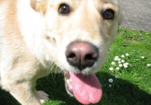 296186_2381820627832_5634136_n